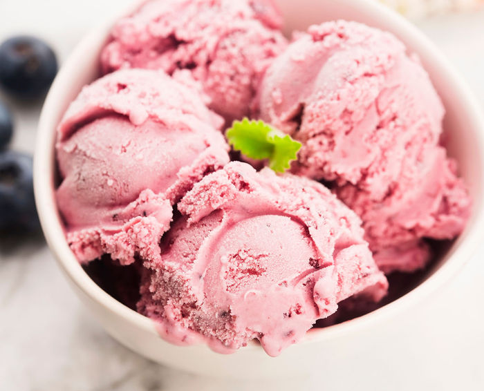 oster ice cream frozen yogurt maker